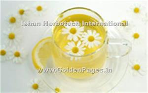 > </div>
<div class=